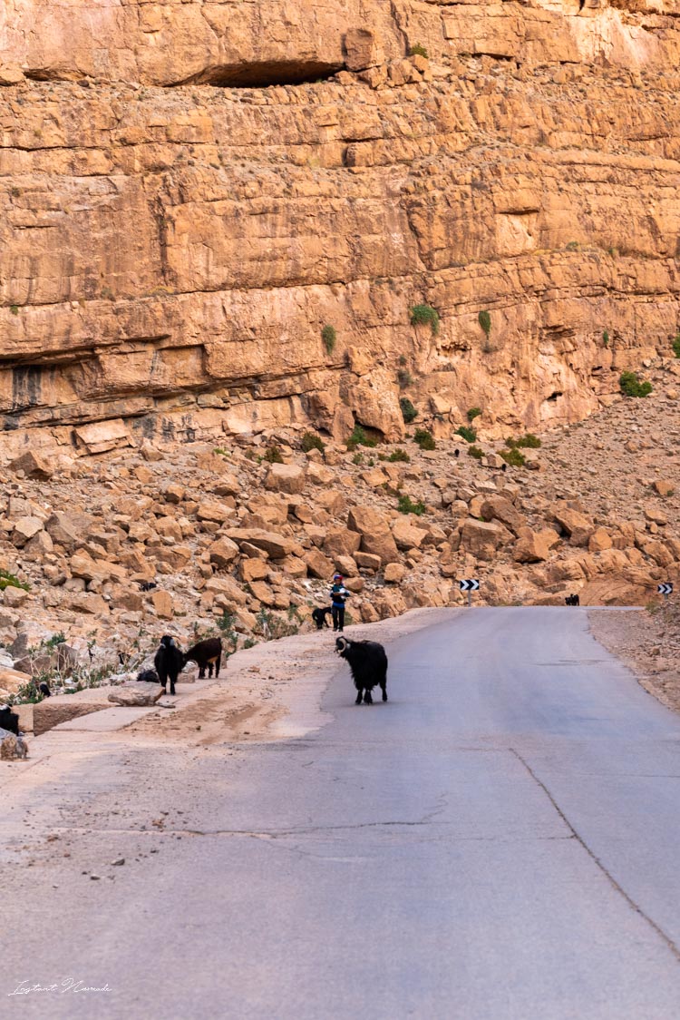 route gorges todra maroc
