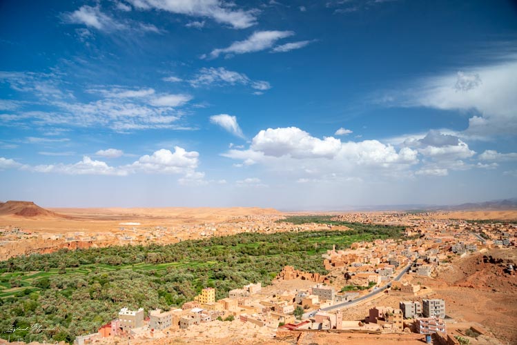 vue palmeraie tinghir maroc
