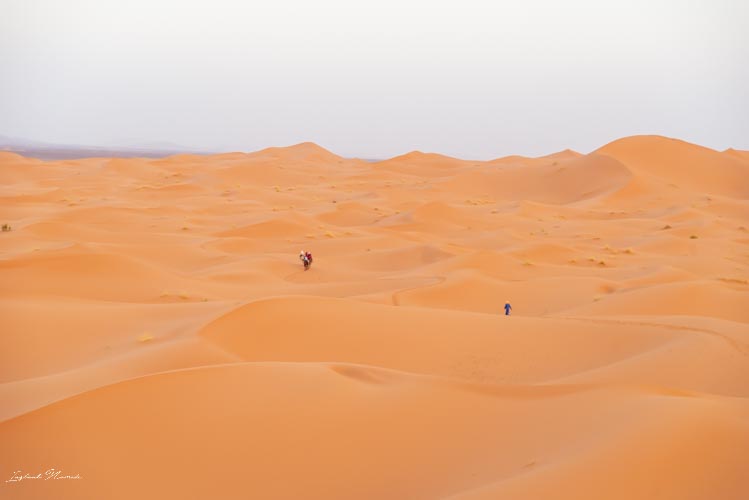 balade désert maroc