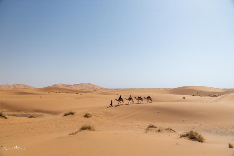 caravane désert maroc
