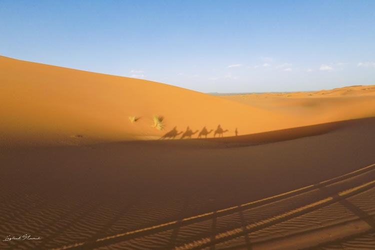 ombre désert maroc