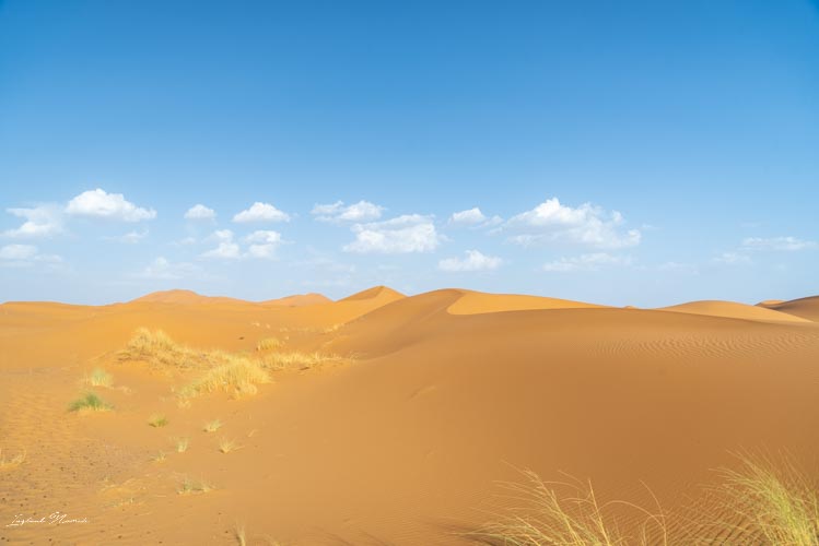 désert merzouga maroc
