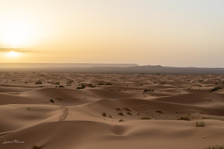 dunes de sable désert maroc