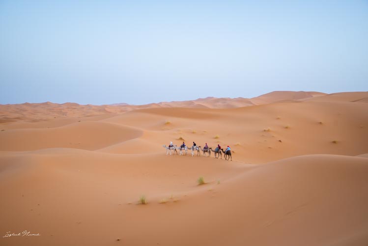 dunes erg chebbi désert