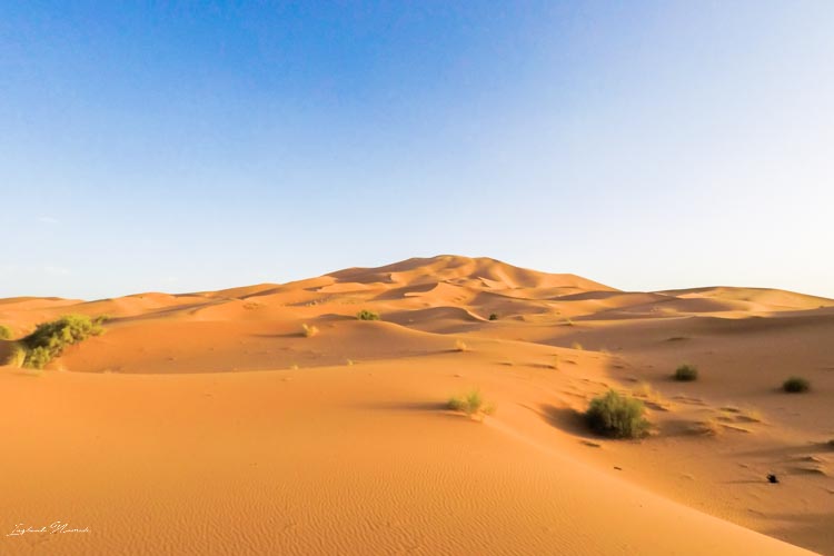 erg chebbi maroc