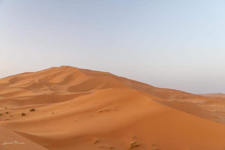 dunes orangées maroc