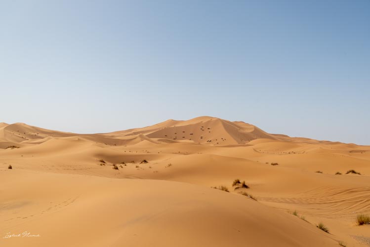 merzouga maroc