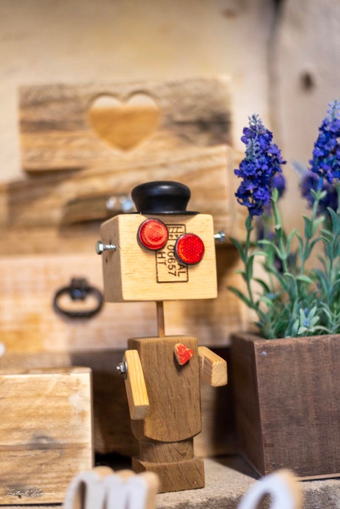 mon joyeux foutoir meuse