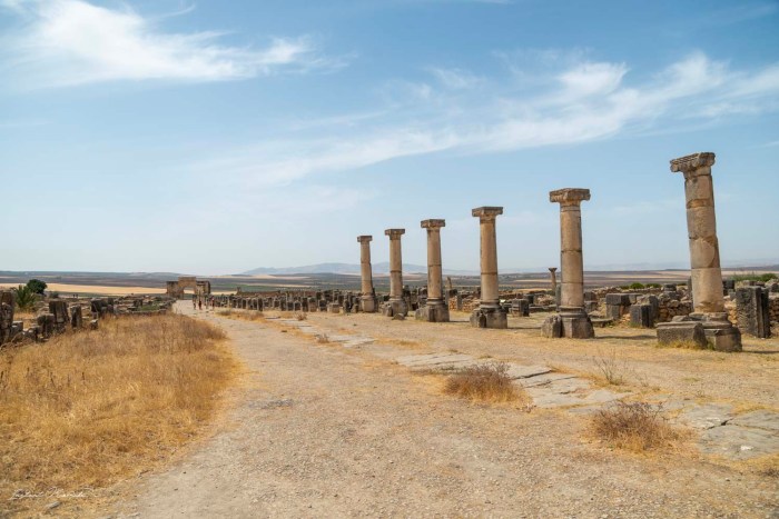 colonnes volubilis maroc