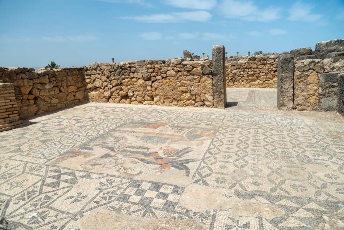 mosaique volubilis maroc