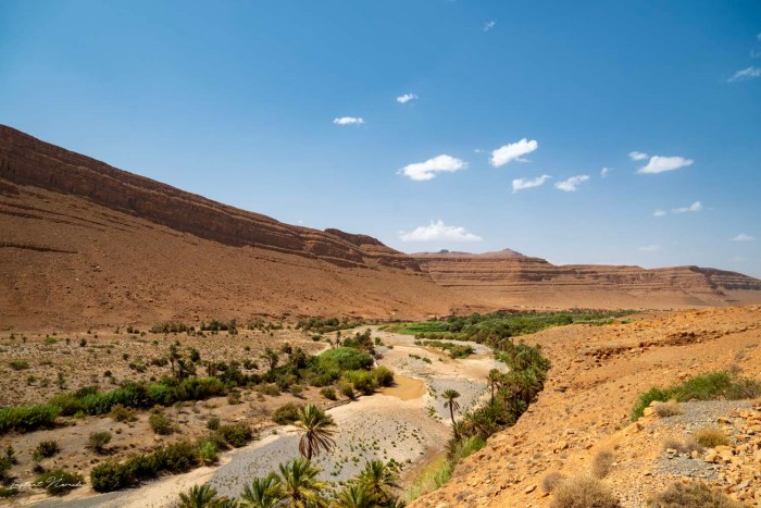 oasis vallée du ziz