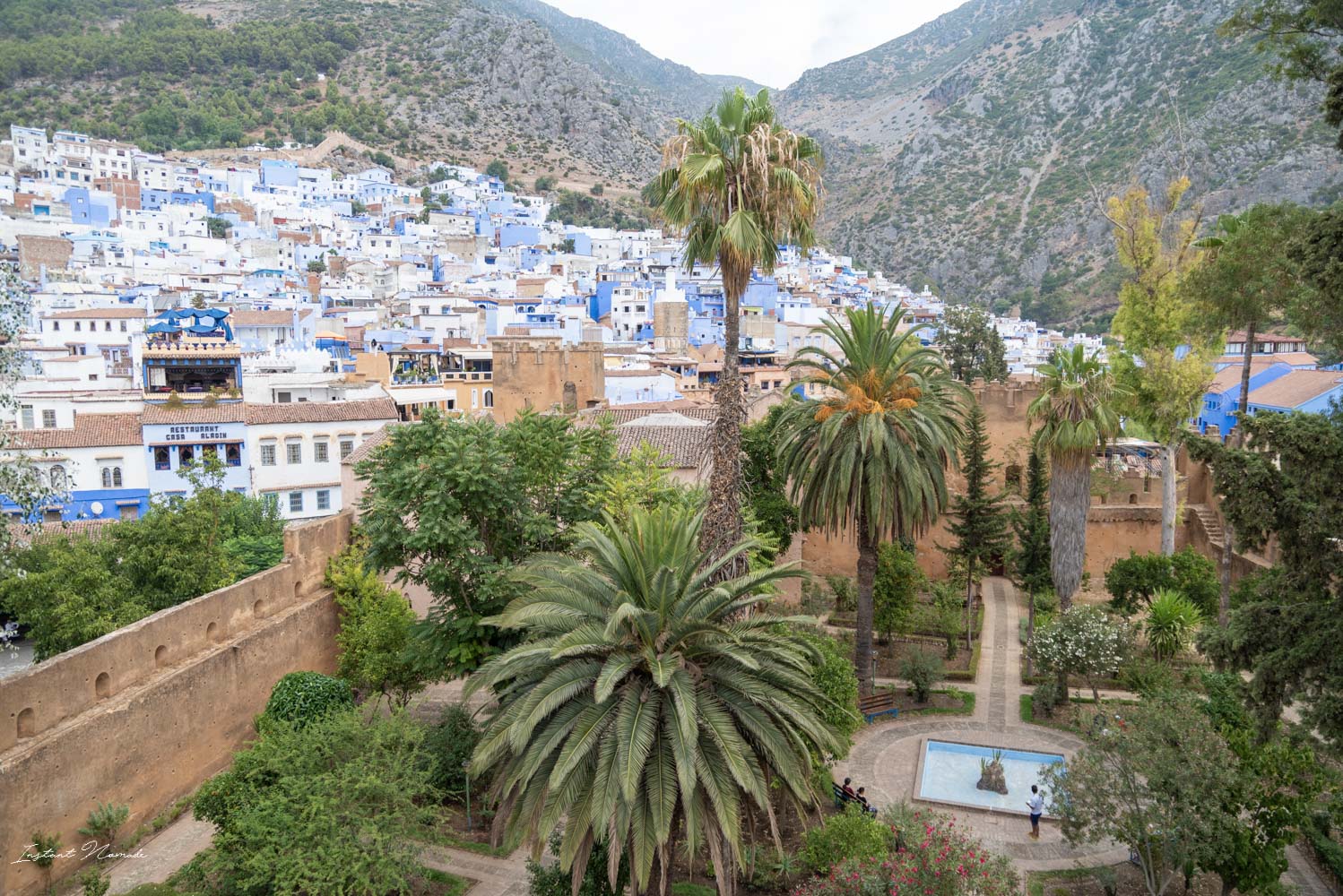 palmier chefchaouen