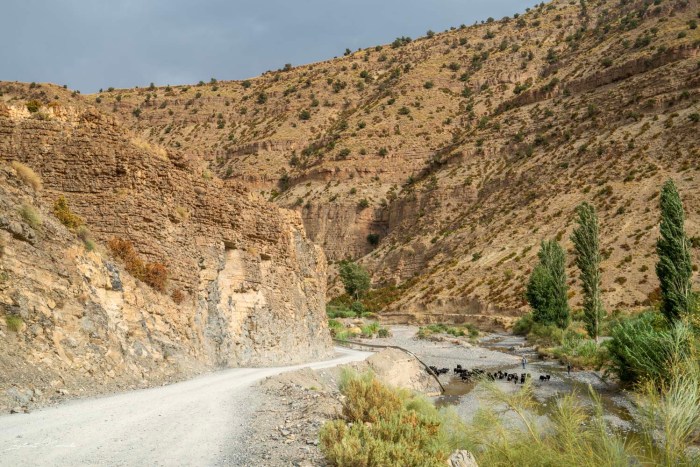 route vallée du ziz