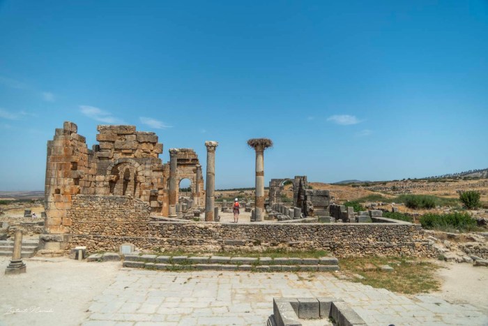 site romain volubilis