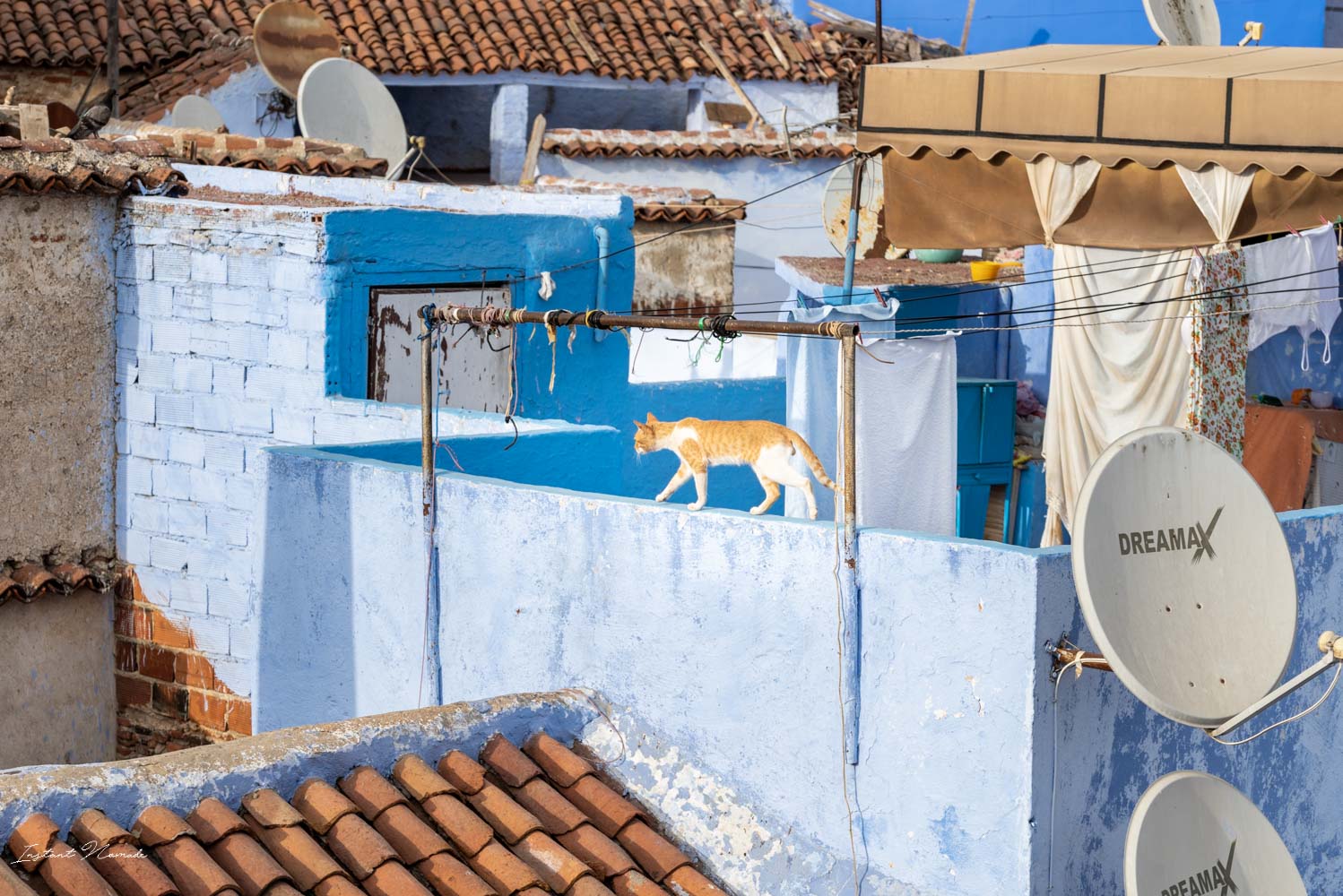 toits bleus chefchaouen