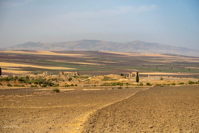volubilis maroc
