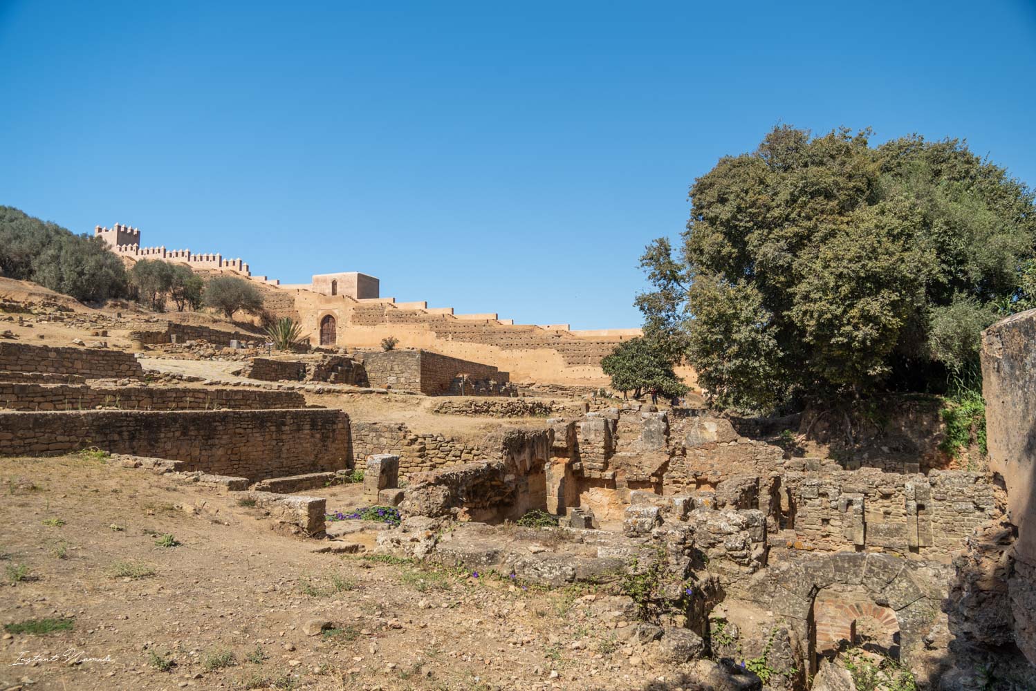 ruines nécropole de chellah rabat maroc