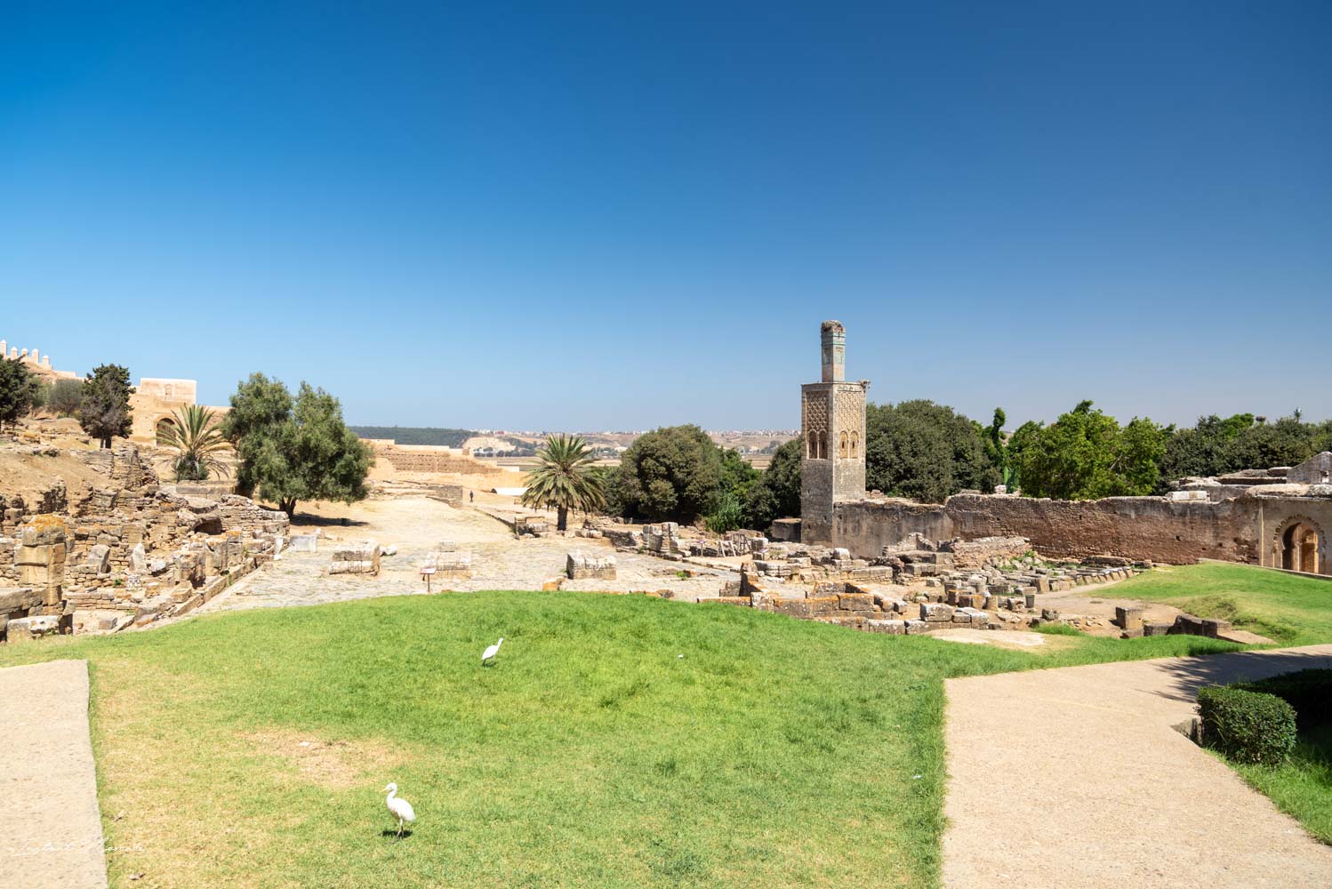 site nécropole de chellah rabat maroc