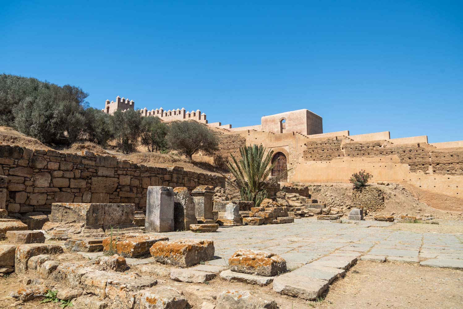 vestiges nécropole chellah rabat maroc