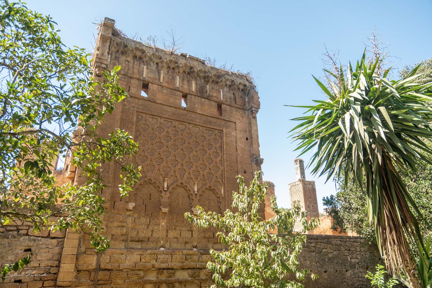 vestiges nécropole chellah rabat