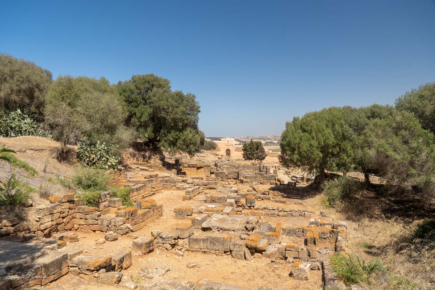 vestiges nécropole de chellah rabat maroc