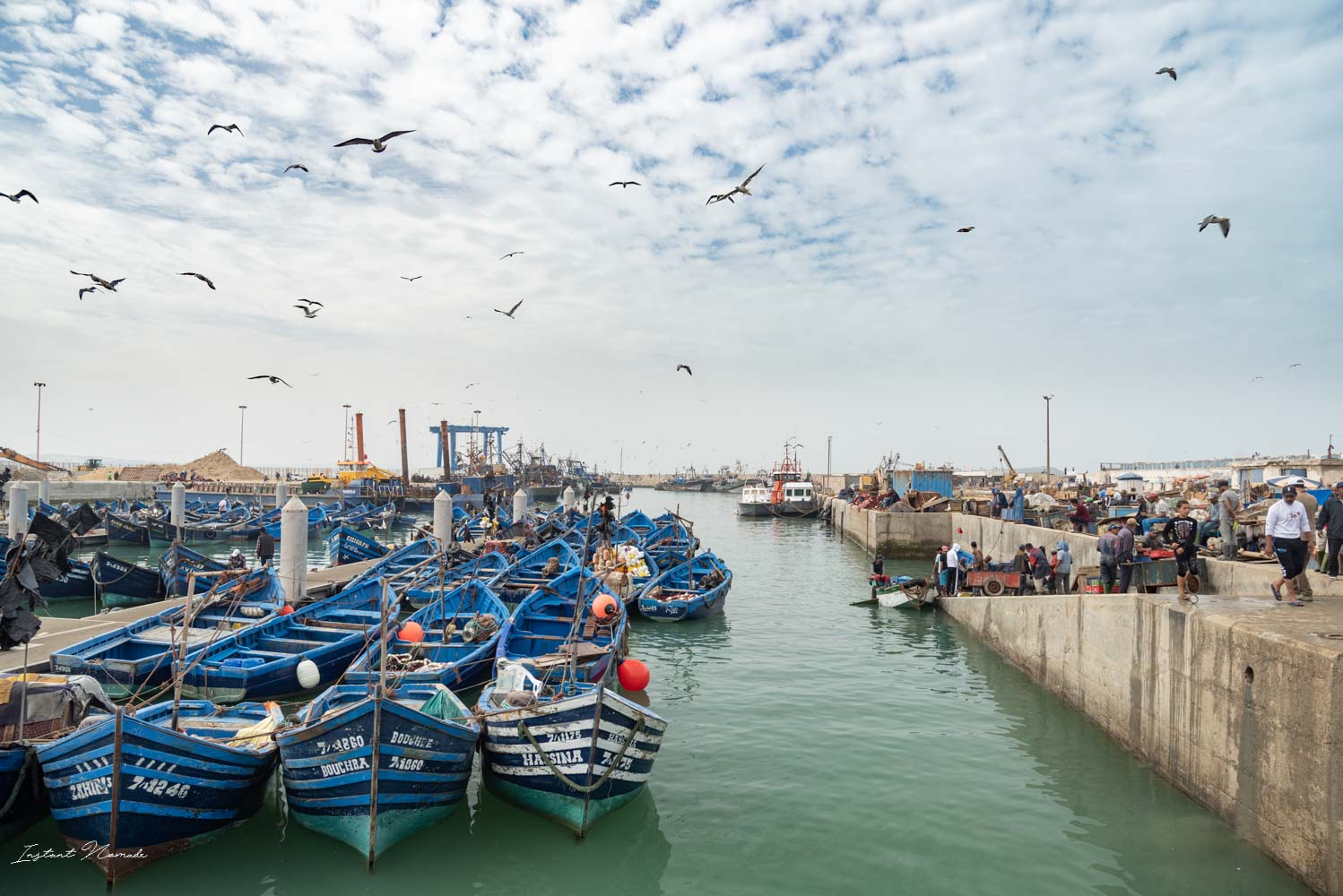 bateau essaouira maroc