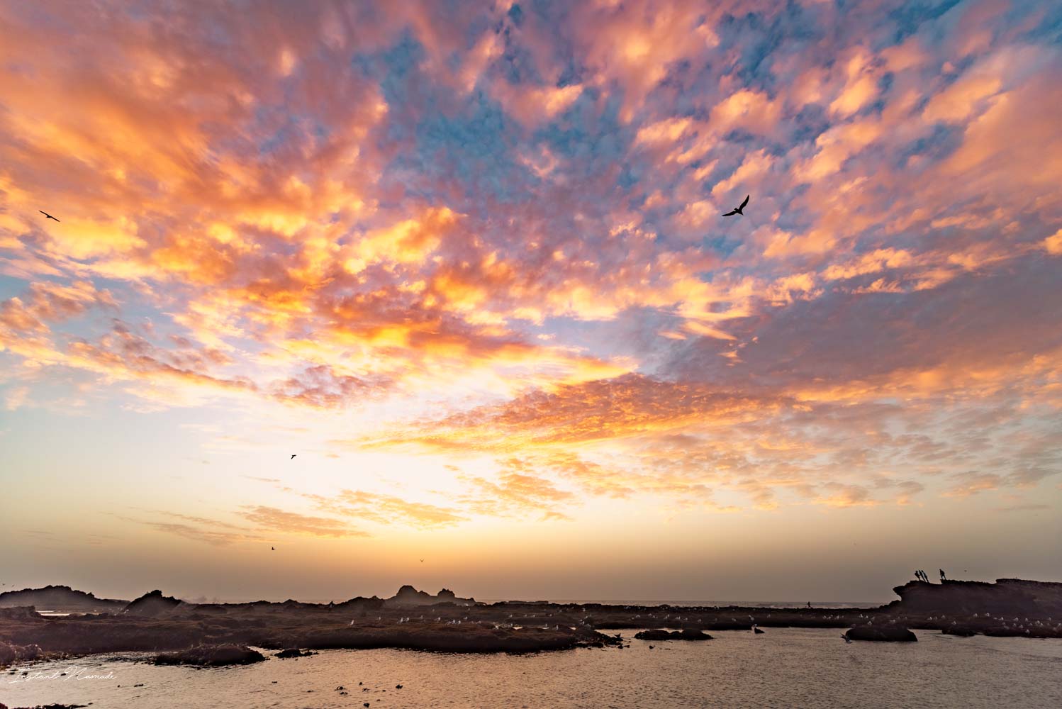 ciel en feu essaouira maroc