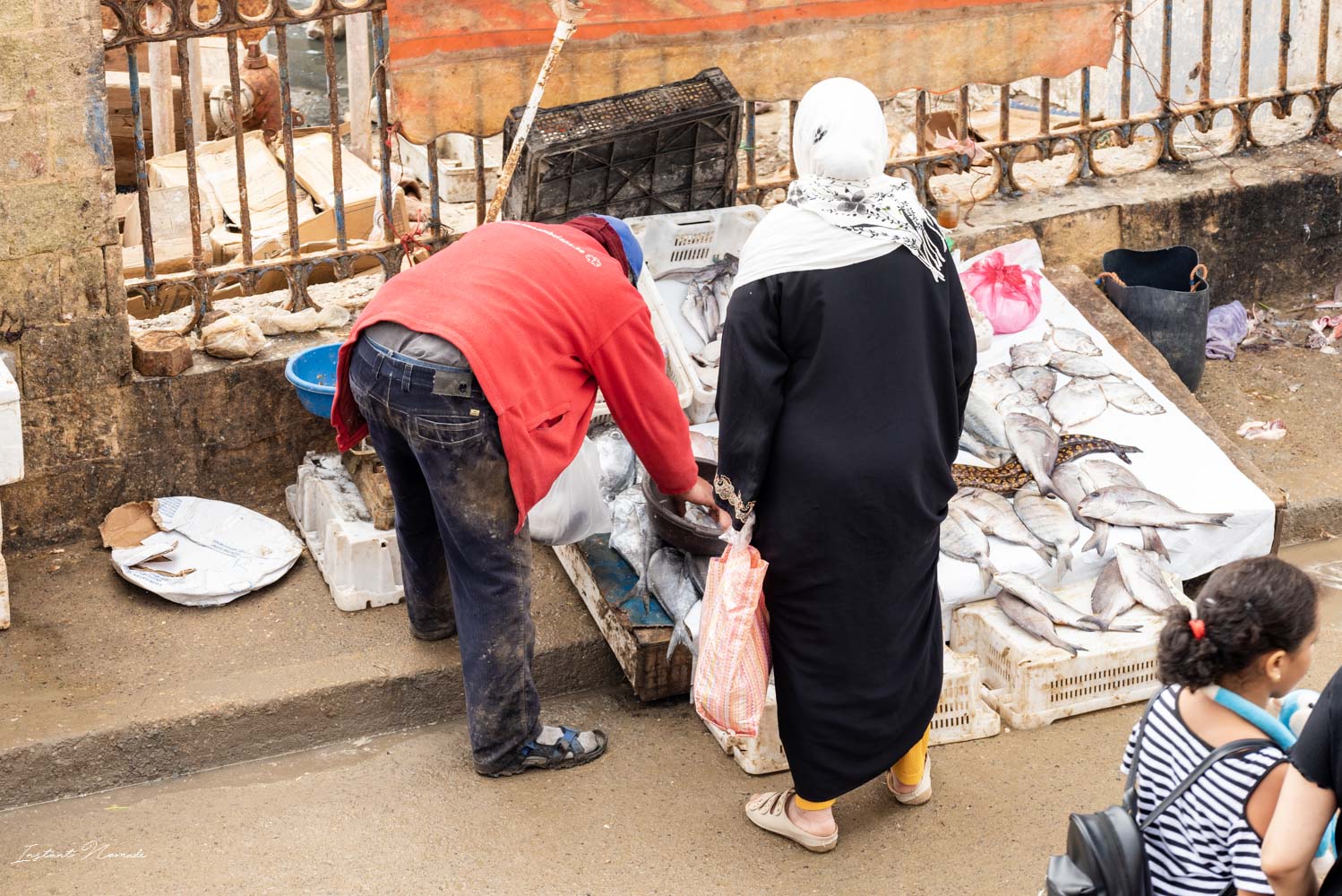 marché aux poissons essaouira maroc