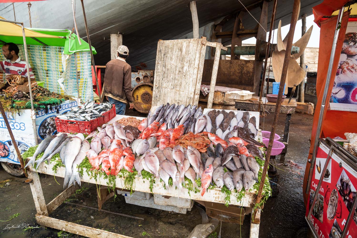 marché poisson essaouira maroc