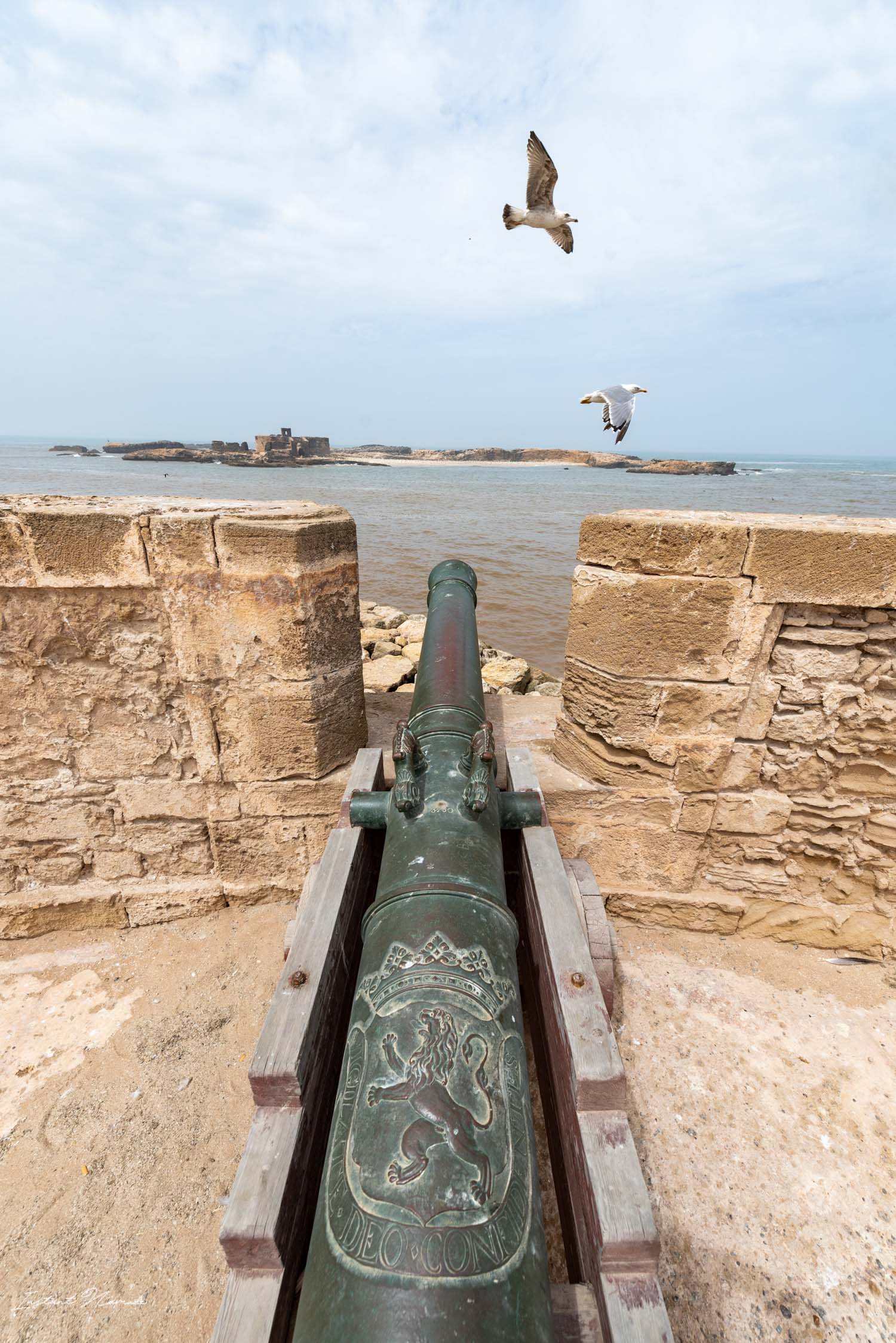 squala du port essaouira maroc