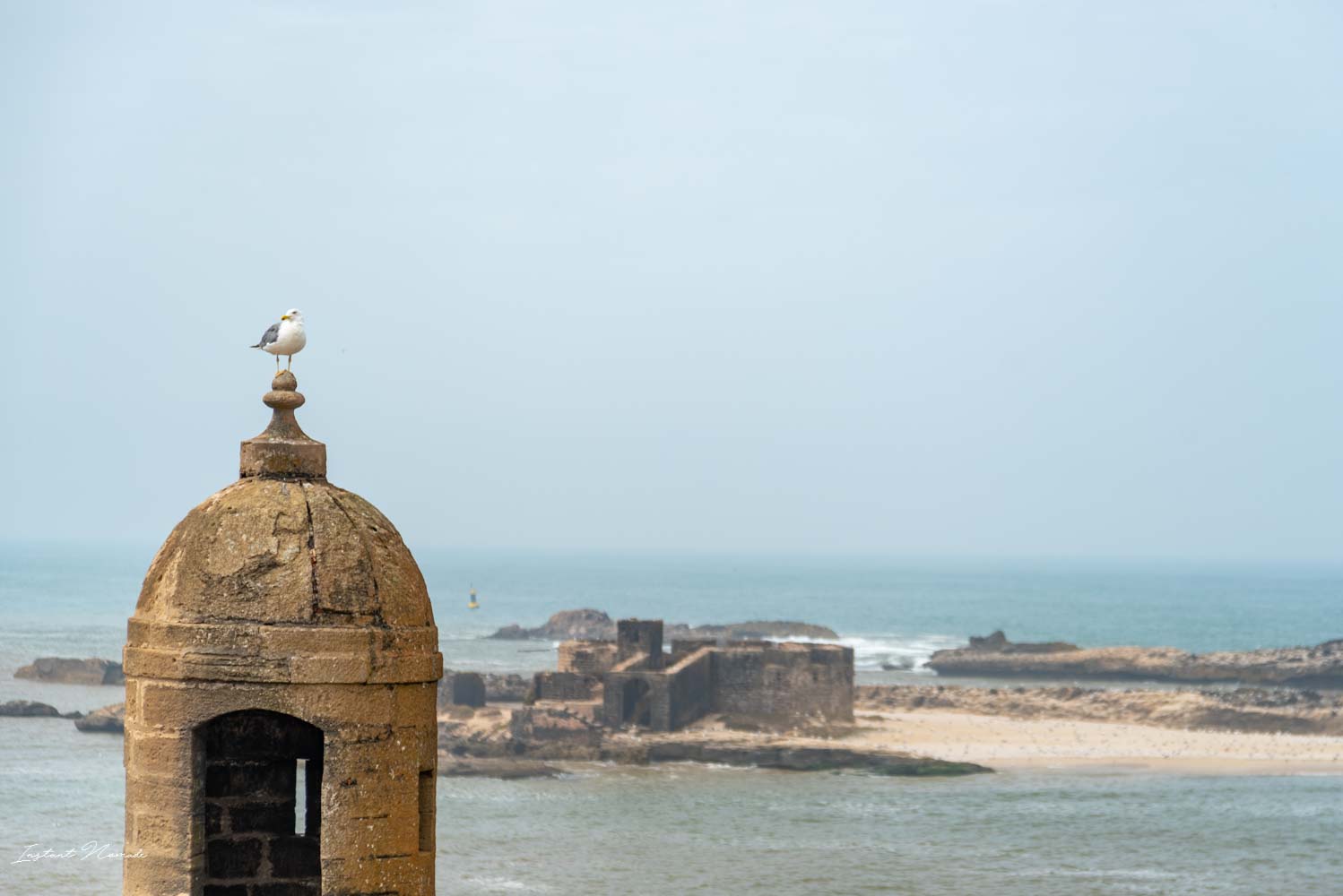 vue remparts essaouira maroc