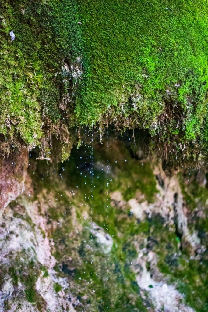 cascade verte sainte eulalie