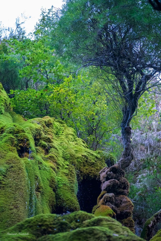 cascade verte vercors