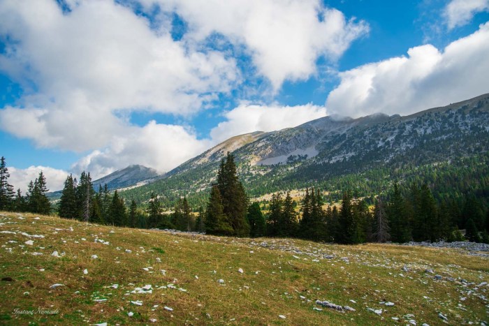 panorama grand veymont