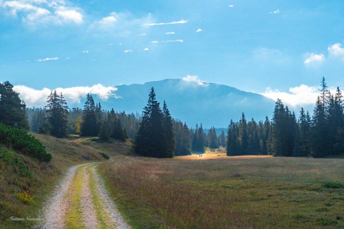 randonnee grand veymont