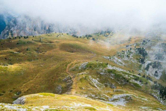 troupeau mouton grand veymont
