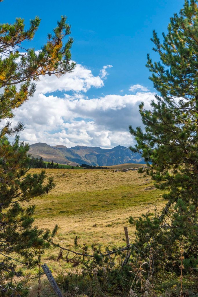 carte postale auvergne