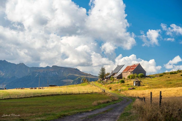 ferme plateau du guery auvergne