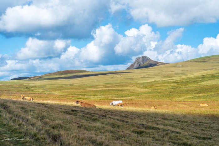 haut plateau guery auvergne
