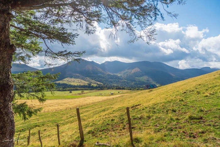 randonnee plateau du guery auvergne