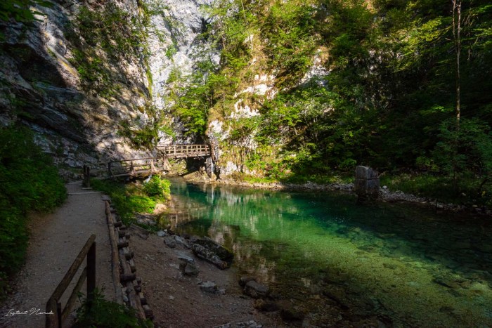 eau gorges de vintgar