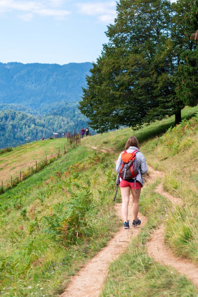 randonnee gorges de vintgar slovenie
