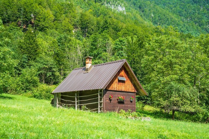 chalet vallee voje slovenie