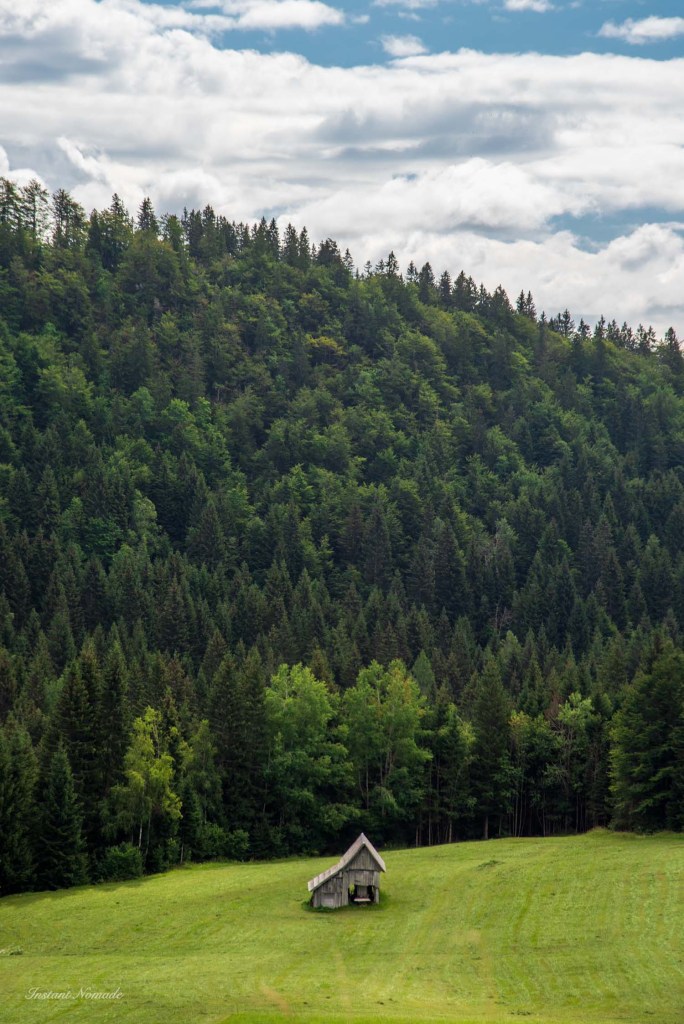 randonnee foret slovenie