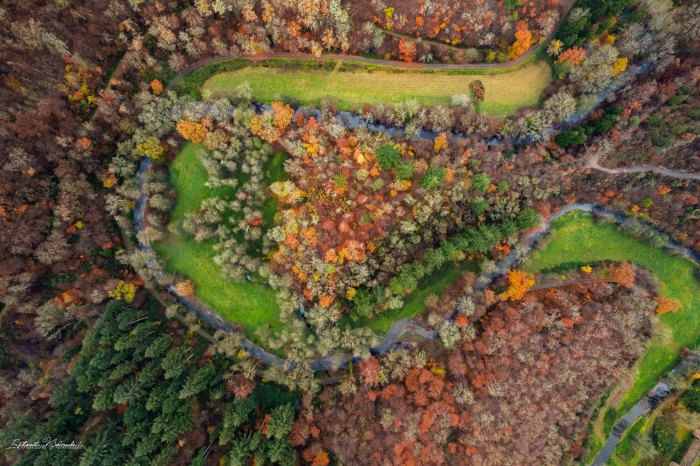 automne vallee de la moselle