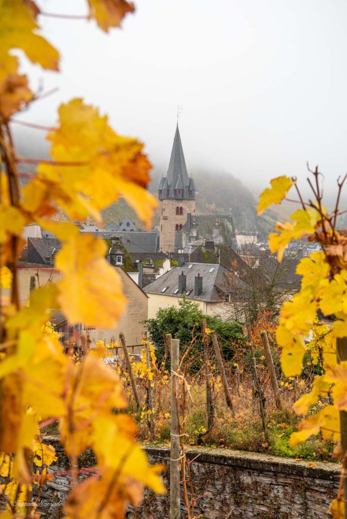 balade vigne allemagne