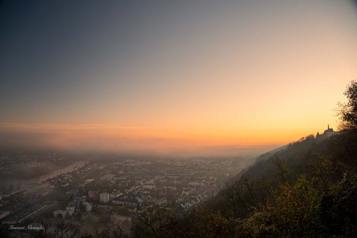 belvedere petrisberg