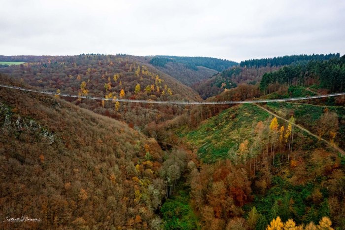pont geierlay allemagne