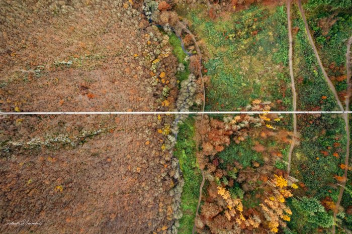 pont suspendu geierlay