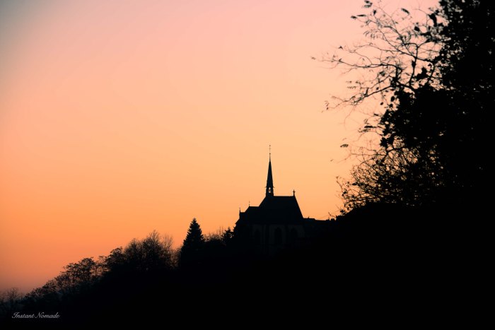 vue belvedere petrisberg